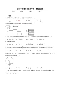 安徽省安庆市2025届九年级下学期中考一模数学试卷(含答案)