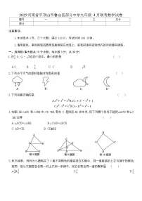 2025年河南省平顶山市鲁山县部分中学九年级4月联考数学试卷(含答案)