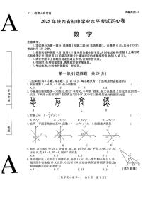 2025年5月陕西省渭南市部分学校中考模拟考试数学试卷(pdf版，含答案)