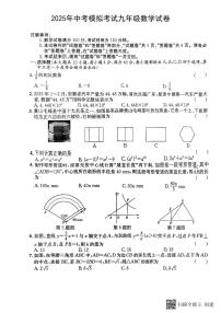 2025年5月安徽省阜阳市部分学校中考模拟考试数学试卷(pdf版，含答案)
