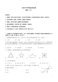 2025长沙中考数学适应性（八）模拟试卷
