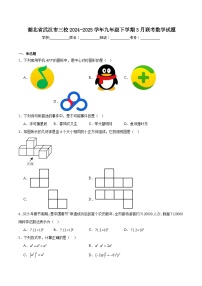 湖北省武汉市三校2025届九年级下学期3月联考数学试卷(含解析)