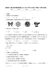 湖南省三湘大联考2025届九年级下学期中考一模数学试卷(含解析)