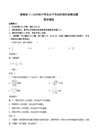 湖南省十三市州2025届初中学业水平考试阶段性检测模拟（一）数学试卷(含解析)