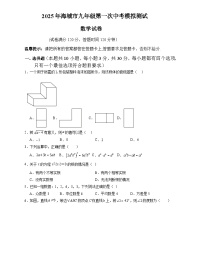 辽宁省鞍山市海城市2025届九年级下学期中考一模数学试卷(含答案)