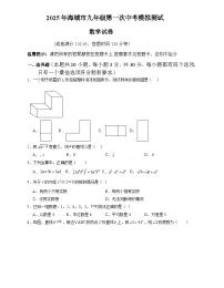 辽宁省鞍山市海城市2025届九年级下学期中考一模数学试卷(含答案)
