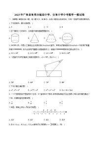 广东省东莞市镇远中学、安东中学2025届九年级下学期中考一模数学试卷