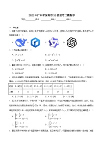 广东省深圳市31校联考2025届九年级下学期二模数学试卷(含解析)