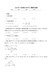 广东省阳江市2025届九年级下学期中考二模数学试卷(含解析)