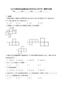 海南省东方市2025届九年级下学期中考一模数学试卷(含解析)