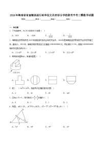 海南省文昌市部分学校联考2024届九年级下学期中考三模数学试卷(含解析)