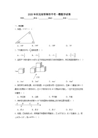 河北省邯郸市2025届九年级下学期中考一模数学试卷(含解析)