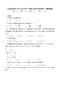 河南省焦作市2025届九年级下学期中考一模数学试卷(含解析)
