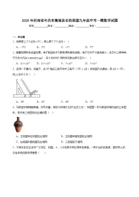 河南省许昌市襄城县名校联盟2025届九年级下学期中考一模数学试卷(含解析)