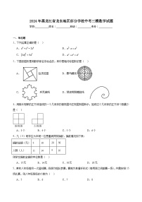 黑龙江省龙东地区部分学校2024届九年级下学期中考三模数学试卷(含解析)