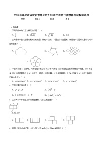 黑龙江省绥化市海伦市2025届九年级下学期中考二模数学试卷(含解析)