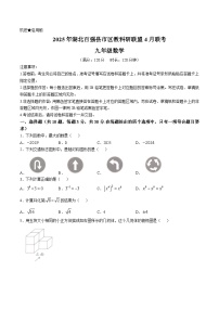 湖北省百强县市区教科研联盟2025届九年级下学期中考二模（4月联考）数学试卷(含答案)