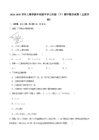 2024-2025学年上海市新中初级中学七年级（下）期中数学试卷（五四学制）（含解析）