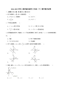 2024-2025学年上海市浦东新区八年级（下）期中数学试卷（含解析）