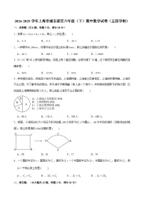 2024-2025学年上海市浦东新区六年级（下）期中数学试卷（五四学制）（含解析）