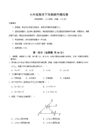 新北师大版数学七下 期中考试题【范围：第1章-第4章，无答案】