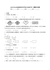 山东省泰安市东平县2025届九年级下学期中考一模数学试卷(含解析)