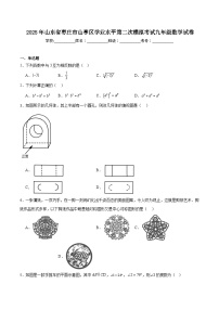 山东省枣庄市山亭区2025届九年级下学期中考二模数学试卷(含解析)