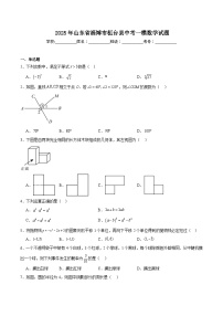 山东省淄博市桓台县2025届九年级下学期中考一模数学试卷(含解析)