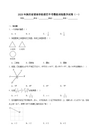 陕西省渭南市临渭区2025届九年级下学期第一次模拟考试数学试卷(含解析)