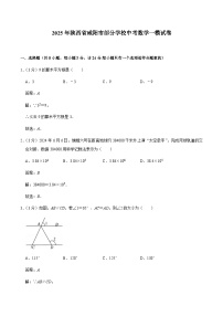 陕西省咸阳市2025届九年级下学期中考一模数学试卷(含解析)