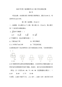 四川省绵阳市北川羌族自治县2025届九年级下学期中考一模数学试卷(含答案)