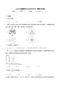 新疆维吾尔自治区2025届九年级下学期中考一模数学试卷(含解析)