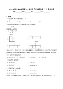 浙江省“山海联盟”2025届初中学业水平考试模拟卷（三）数学试卷(含解析)