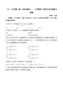 中考数学一轮复习考点精炼与综测：（5）一次方程（组）（综合测试）