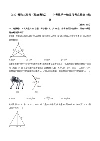 中考数学一轮复习考点精炼与综测：（15）特殊三角形（综合测试）