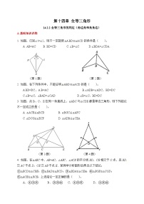人教版（2024）八年级上册（2024）14.2 三角形全等的判定巩固练习