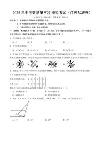 2025中考数学第三次模拟考试盐城卷含答案