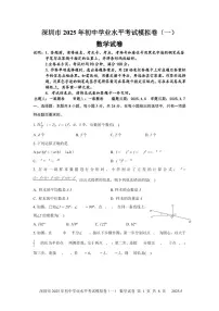 2025年深圳市15校初三中考第一次模拟考试数学试卷含答案