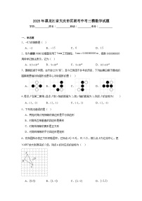 2025年黑龙江省大庆市区联考中考三模数学试题（无答案）