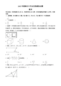 2025年甘肃省陇南市第五次九年级模拟考试数学试题（中考模拟）