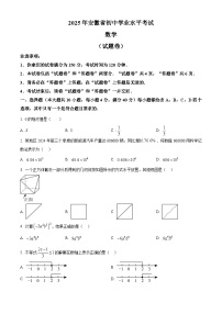 2025年安徽省马鞍山市中考三模数学试题（中考模拟）