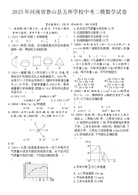 2025年河南省平顶山市鲁山县五所学校中考二模数学试题（中考模拟）