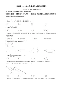 2025年海南省中考数学模拟试卷（中考模拟）