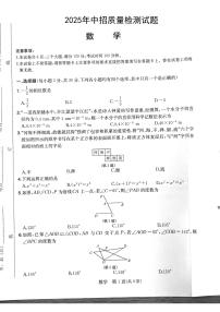 2025年河南省驻马店市汝南县部分私立初中联考中考三模数学试题（中考模拟）