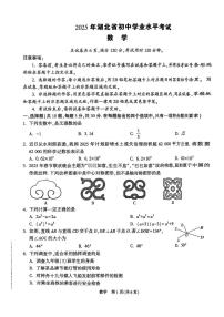 2025年湖北省初中学业水平考试数学试卷（黑）（中考模拟）