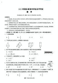2025年湖北省初中学业水平考试数学试卷（白）（中考模拟）