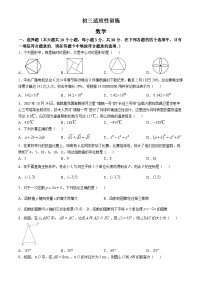 2025年湖南省长沙市长郡教育集团中考三模数学试题（中考模拟）