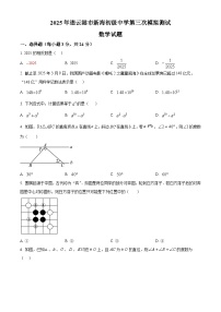 2025年江苏省连云港市新海初级中学九年级数学第三次模拟试题（中考模拟）