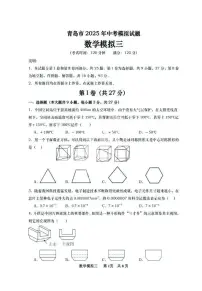 2025年山东省青岛市黄岛区青岛西海岸新区超银学校中考数学三模试卷（中考模拟）