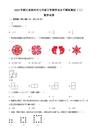 2025年浙江省杭州市九年级下学期学业水平模拟测试(三)数学试卷（中考模拟）